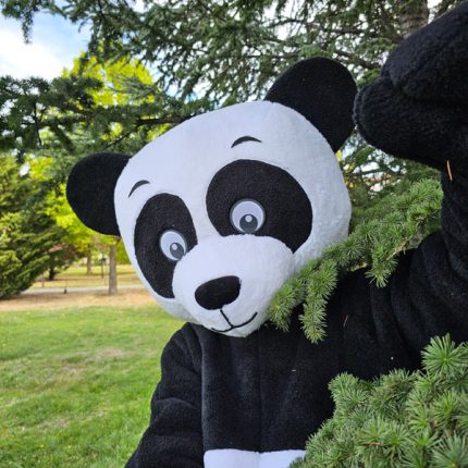 Panda Mascot Costume, Adult Mascot Costume, Party Mascot Costume, Event Mascot Costume, Birthday Party Costume, Luxury Mascot Costume