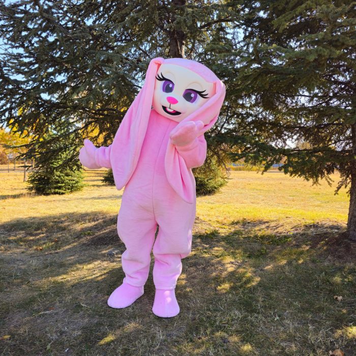 Love Pink Bunny Mascot Costume, Adult Mascot Costume, Party Mascot Costume, Event Mascot Costume, Birthday Party Costume, Luxury Mascot Costume - Image 7