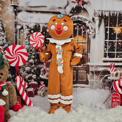 Ginger Cookie Mascot Costume, Adult Mascot Costume, Party Mascot Costume, Event Mascot Costume, Birthday Party Costume, Luxury Mascot Costume