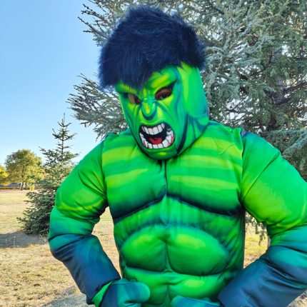 Hulk Mascot Costume, Adult Mascot Costume, Party Mascot Costume, Event Mascot Costume, Birthday Party Costume, Luxury Mascot Costume