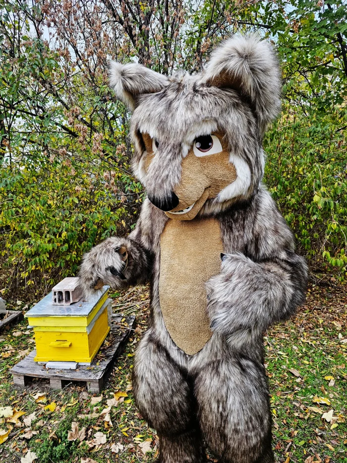 mascot_costumes_saharacostumesil_1588xN.5517386916_5ab8