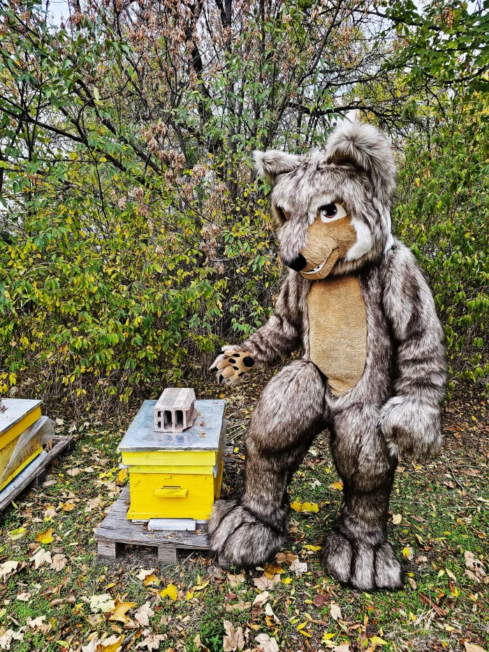 Wolf Mascot Costume, Adult Mascot Costume, Party Mascot Costume, Event Mascot Costume, Birthday Party Costume, Luxury Mascot Costume - Image 4