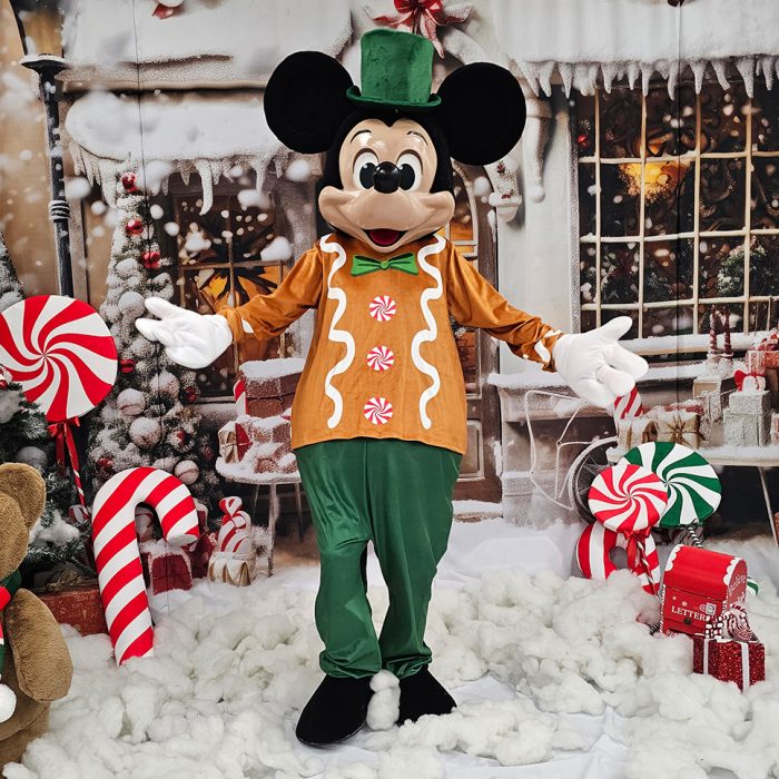 Mr. Mouse Mascot Costume, Adult Mascot Costume, Party Mascot Costume, Event Mascot Costume, Birthday Party Costume, Luxury Mascot Costume Active - Image 7