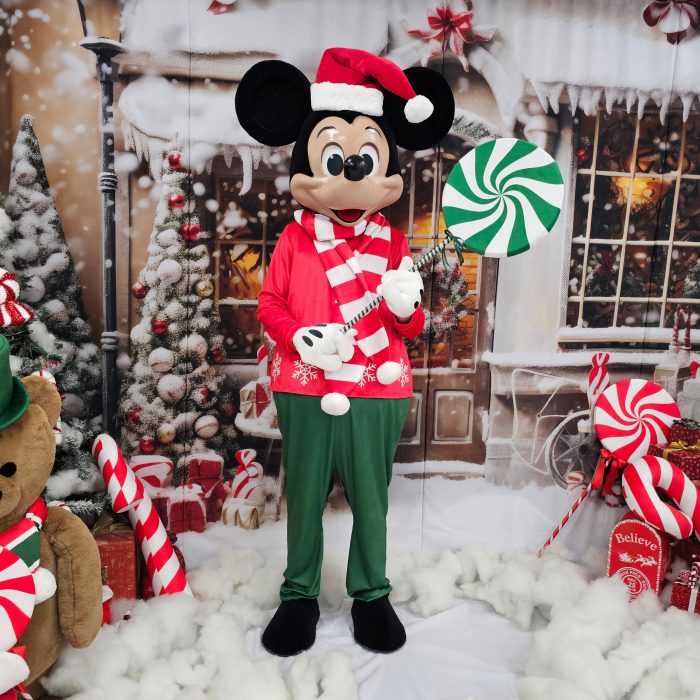 Mr. Mouse Mascot Costume, Adult Mascot Costume, Party Mascot Costume, Event Mascot Costume, Birthday Party Costume, Luxury Mascot Costume - Image 3