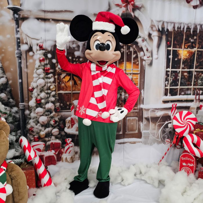 Mr. Mouse Mascot Costume, Adult Mascot Costume, Party Mascot Costume, Event Mascot Costume, Birthday Party Costume, Luxury Mascot Costume - Image 4