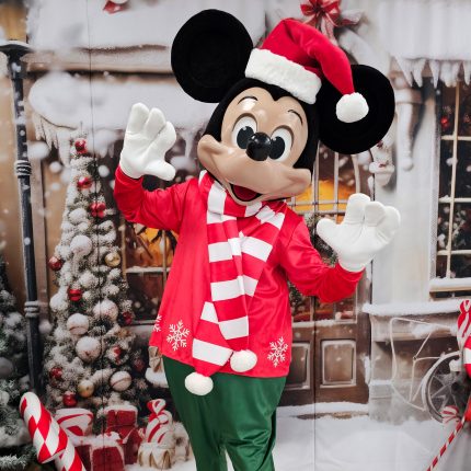 Mr. Mouse Mascot Costume, Adult Mascot Costume, Party Mascot Costume, Event Mascot Costume, Birthday Party Costume, Luxury Mascot Costume