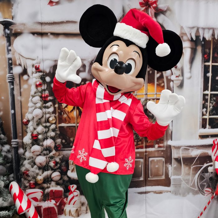 Mr. Mouse Mascot Costume, Adult Mascot Costume, Party Mascot Costume, Event Mascot Costume, Birthday Party Costume, Luxury Mascot Costume - Image 1