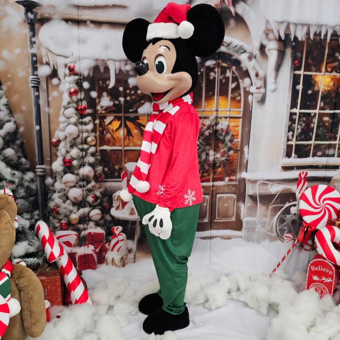 Mr. Mouse Mascot Costume, Adult Mascot Costume, Party Mascot Costume, Event Mascot Costume, Birthday Party Costume, Luxury Mascot Costume - Image 6