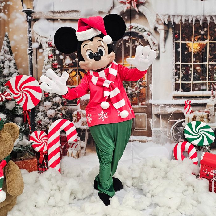 Mr. Mouse Mascot Costume, Adult Mascot Costume, Party Mascot Costume, Event Mascot Costume, Birthday Party Costume, Luxury Mascot Costume - Image 2