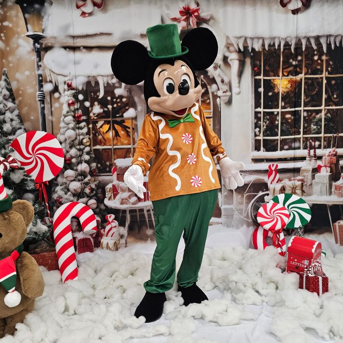 Mr. Mouse Mascot Costume, Adult Mascot Costume, Party Mascot Costume, Event Mascot Costume, Birthday Party Costume, Luxury Mascot Costume Active - Image 6