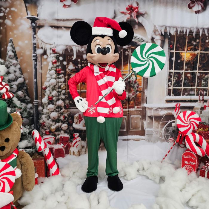 Mr. Mouse Mascot Costume, Adult Mascot Costume, Party Mascot Costume, Event Mascot Costume, Birthday Party Costume, Luxury Mascot Costume - Image 5