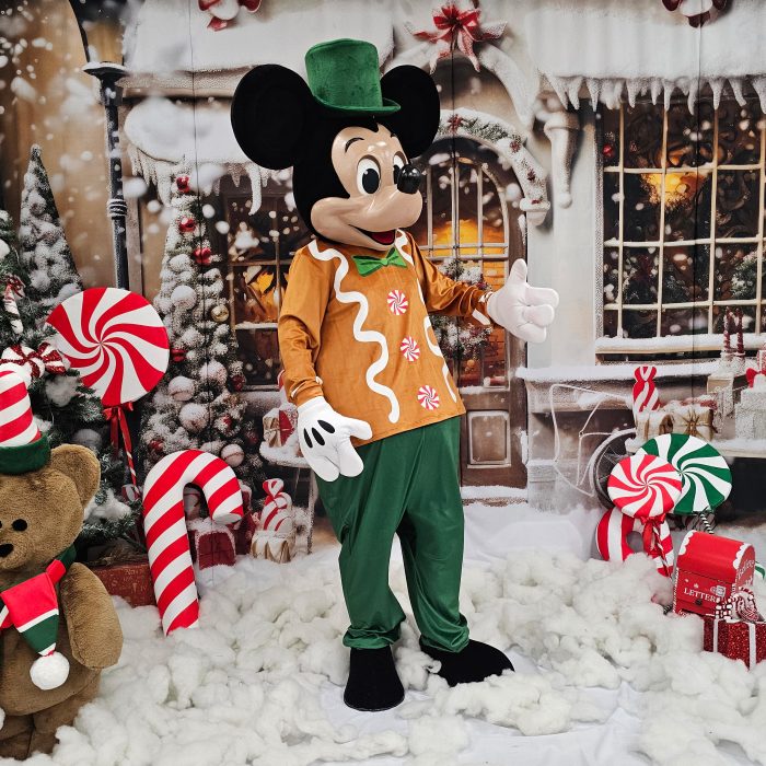 Mr. Mouse Mascot Costume, Adult Mascot Costume, Party Mascot Costume, Event Mascot Costume, Birthday Party Costume, Luxury Mascot Costume Active - Image 5