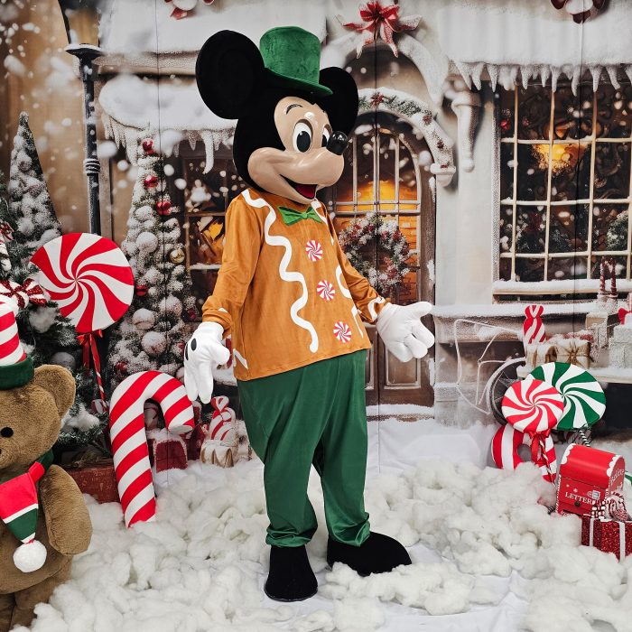 Mr. Mouse Mascot Costume, Adult Mascot Costume, Party Mascot Costume, Event Mascot Costume, Birthday Party Costume, Luxury Mascot Costume Active - Image 4
