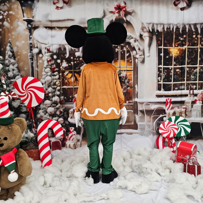 Mr. Mouse Mascot Costume, Adult Mascot Costume, Party Mascot Costume, Event Mascot Costume, Birthday Party Costume, Luxury Mascot Costume Active - Image 8