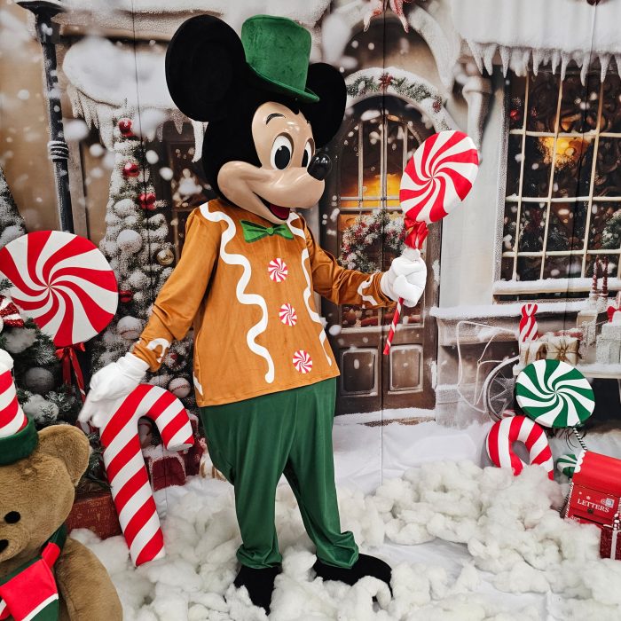 Mr. Mouse Mascot Costume, Adult Mascot Costume, Party Mascot Costume, Event Mascot Costume, Birthday Party Costume, Luxury Mascot Costume Active - Image 2