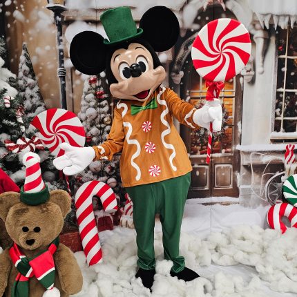 Mr. Mouse Mascot Costume, Adult Mascot Costume, Party Mascot Costume, Event Mascot Costume, Birthday Party Costume, Luxury Mascot Costume Active