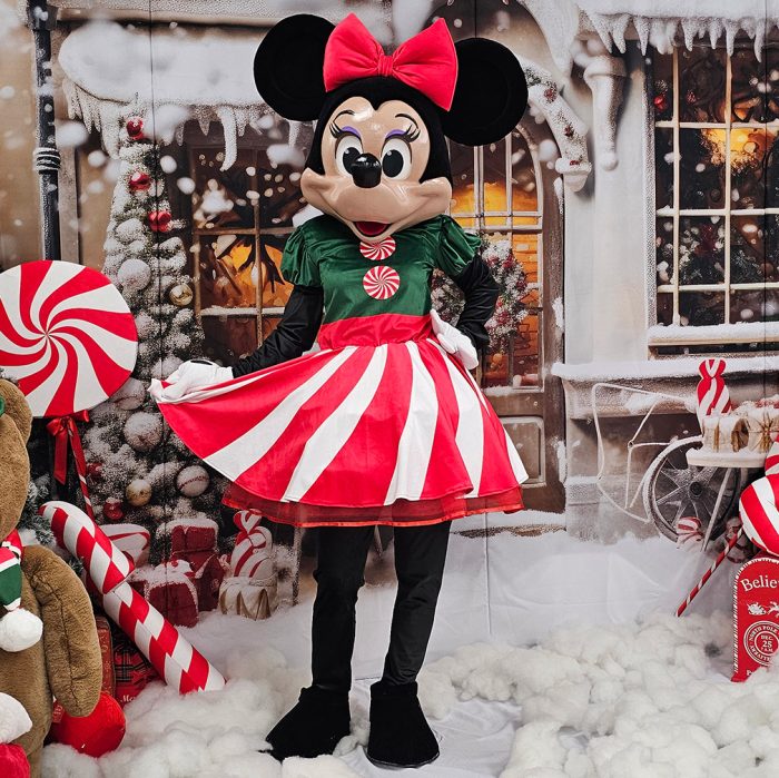Mrs. Mouse Mascot Costume, Adult Mascot Costume, Party Mascot Costume, Event Mascot Costume, Birthday Party Costume, Luxury Mascot Costume - Image 11