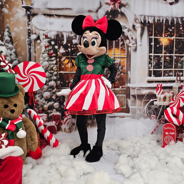 Mrs. Mouse Mascot Costume, Adult Mascot Costume, Party Mascot Costume, Event Mascot Costume, Birthday Party Costume, Luxury Mascot Costume - Image 9
