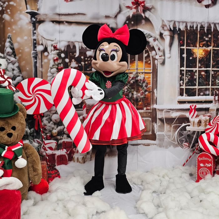 Mrs. Mouse Mascot Costume, Adult Mascot Costume, Party Mascot Costume, Event Mascot Costume, Birthday Party Costume, Luxury Mascot Costume - Image 4