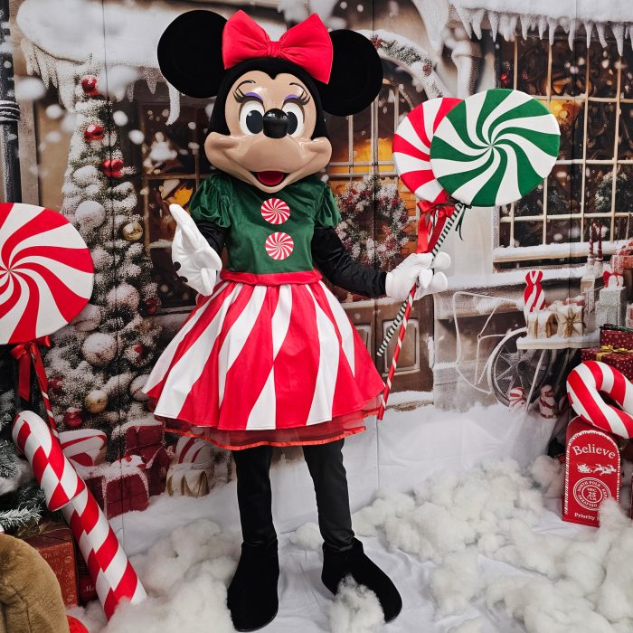 Mrs. Mouse Mascot Costume, Adult Mascot Costume, Party Mascot Costume, Event Mascot Costume, Birthday Party Costume, Luxury Mascot Costume - Image 1