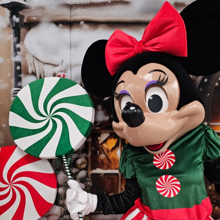 Mrs. Mouse Mascot Costume, Adult Mascot Costume, Party Mascot Costume, Event Mascot Costume, Birthday Party Costume, Luxury Mascot Costume - Image 2